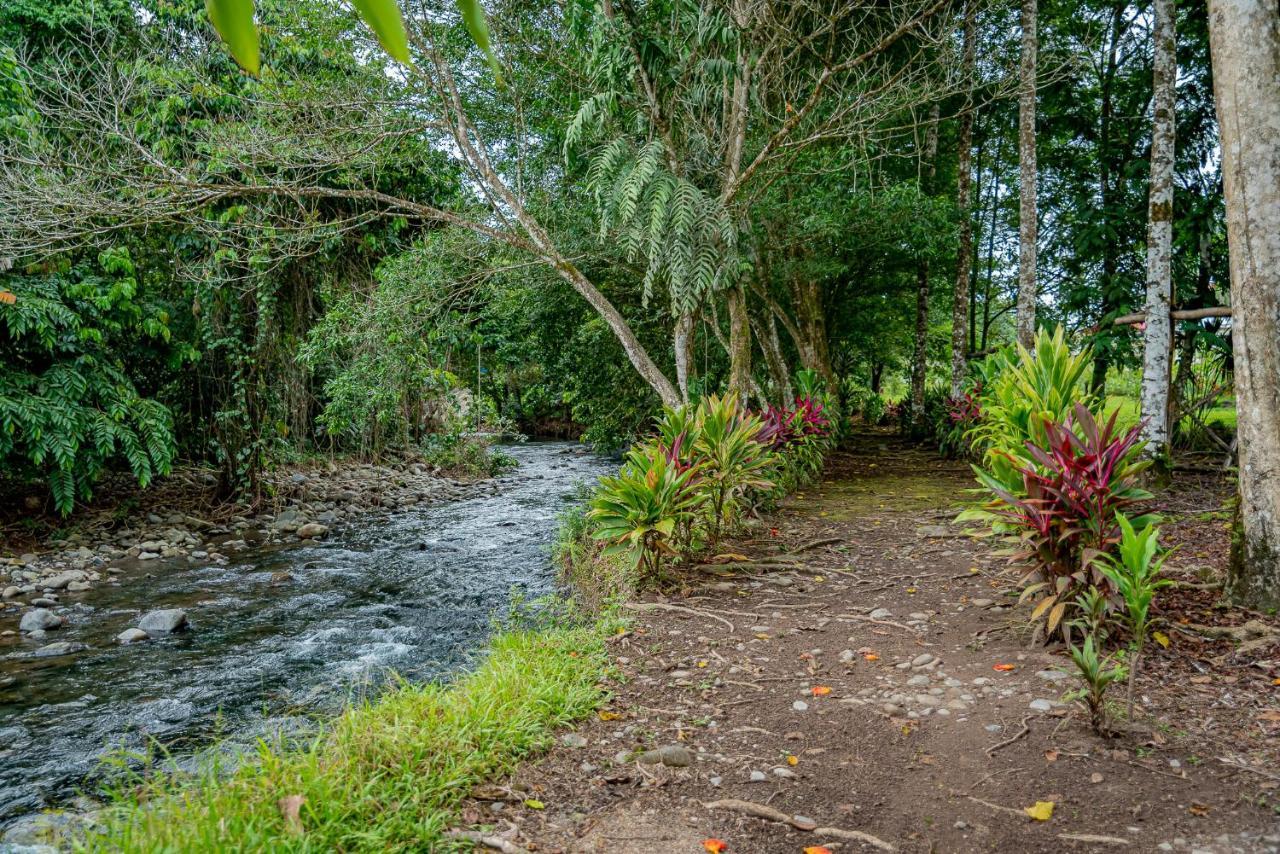 Guácimo Hotel Los Rios מראה חיצוני תמונה